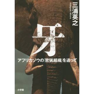 「」 画像