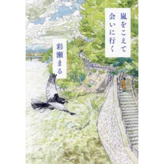 「嵐をこえて会いに行く」 画像