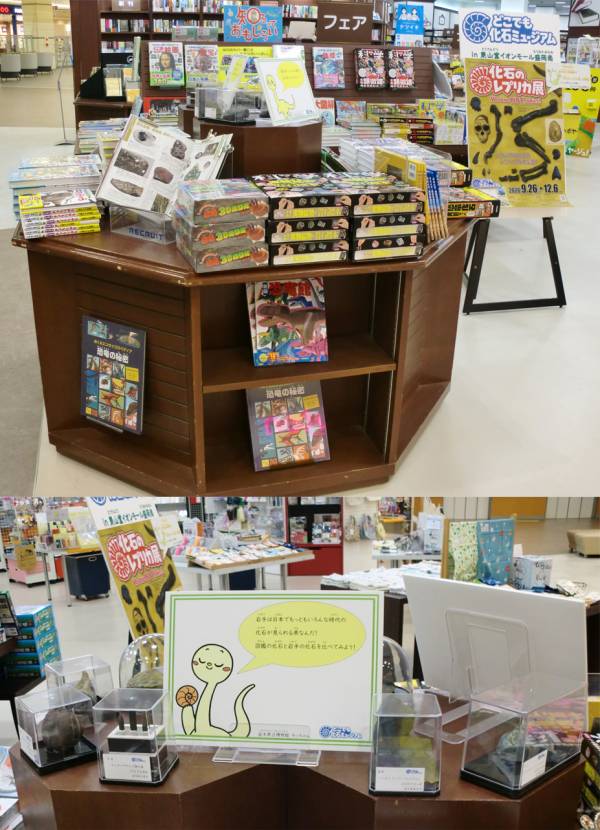 『どこでも化石ミュージアム』開催中! 画像